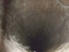 ������������ ����� ������